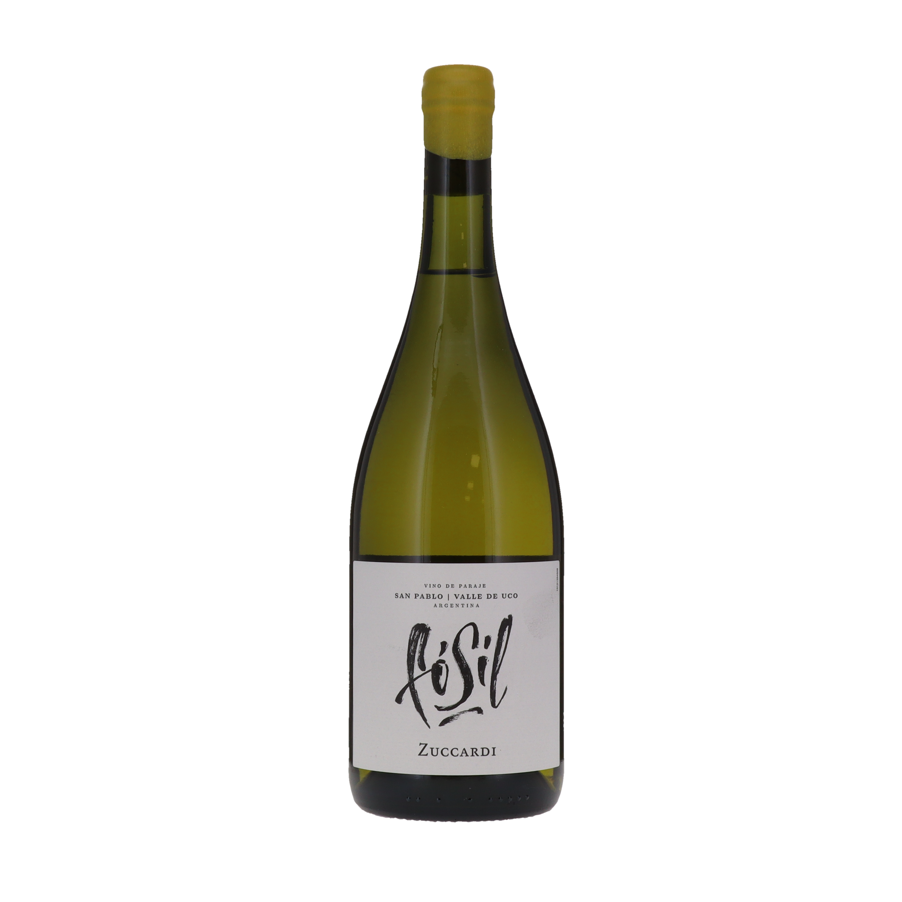 FW ZUCCARDI FOSIL CHARD 75X6